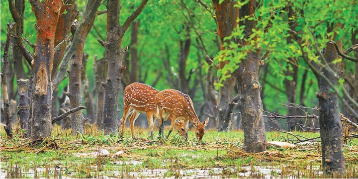 শীত মৌসুমে দর্শনীয় স্থান